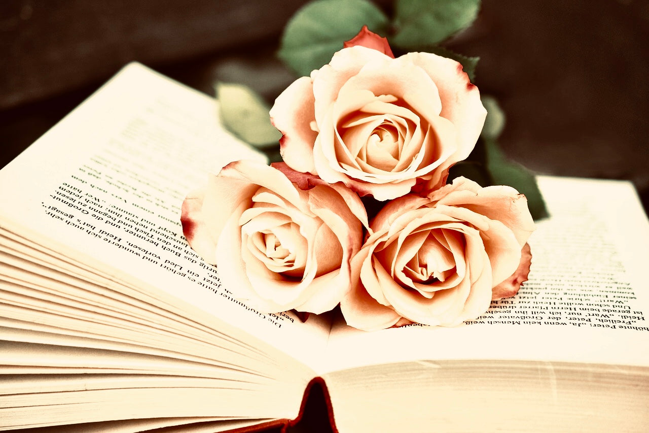Translating books and documents on demand/ price per page